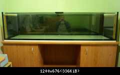 čierne pozadie + boky ... autoportrét