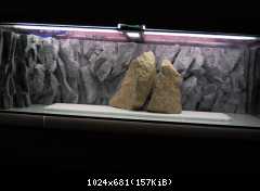 Tanganyika - založenie