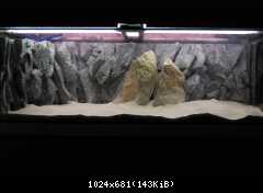 Tanganyika - založenie