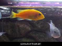 IMAG0043 1