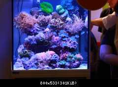 Internationale cichlidentage - Duisburg