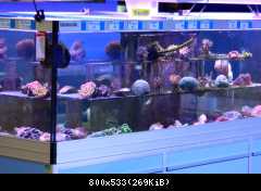 Pet Shop Zoo Zajac - Duisburg