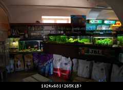 Vivarium.cz 2011