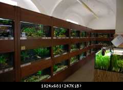Vivarium.cz 2011