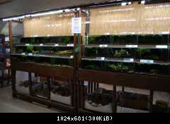 Vivarium.cz 2011