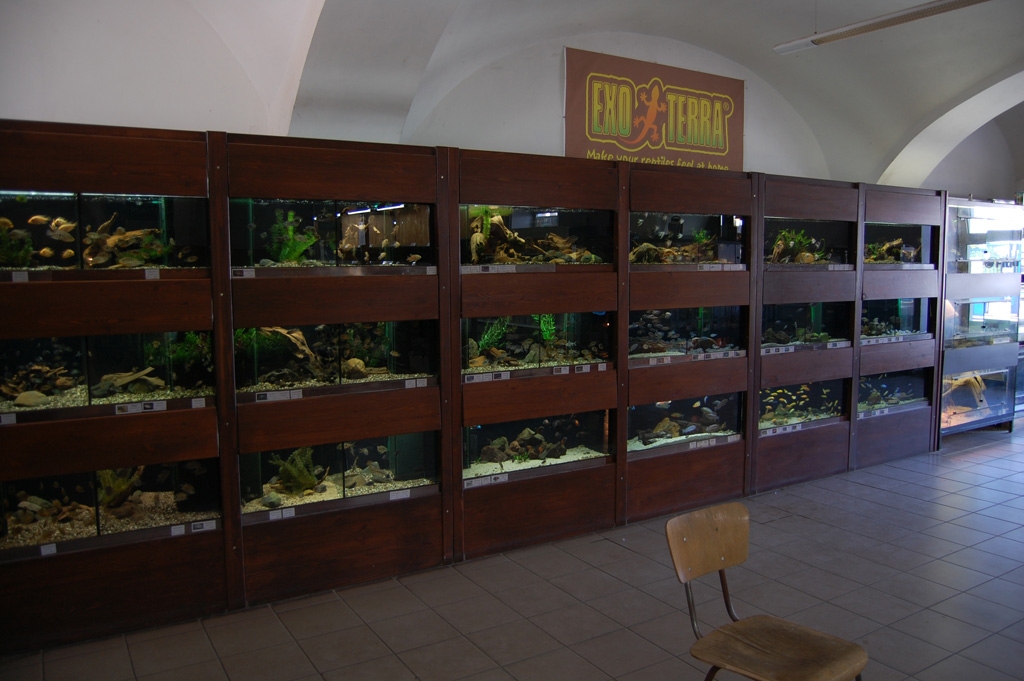 Vivarium.cz 2011