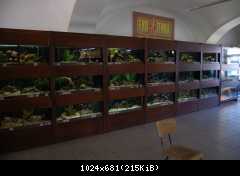 Vivarium.cz 2011