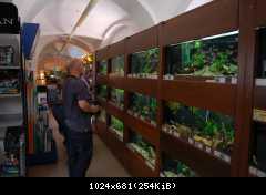 Vivarium.cz 2011