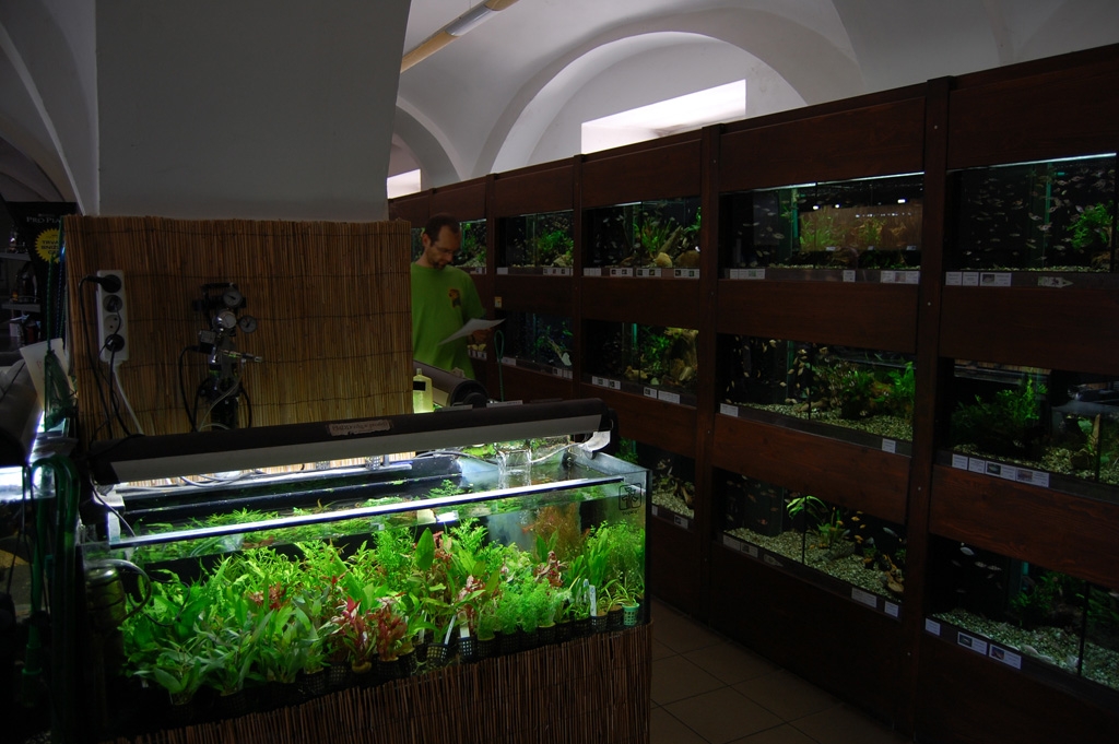 Vivarium - Mělník 2011