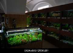 Vivarium - Mělník 2011