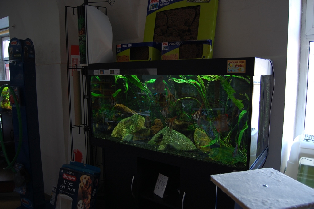 Vivarium - Mělník 2011