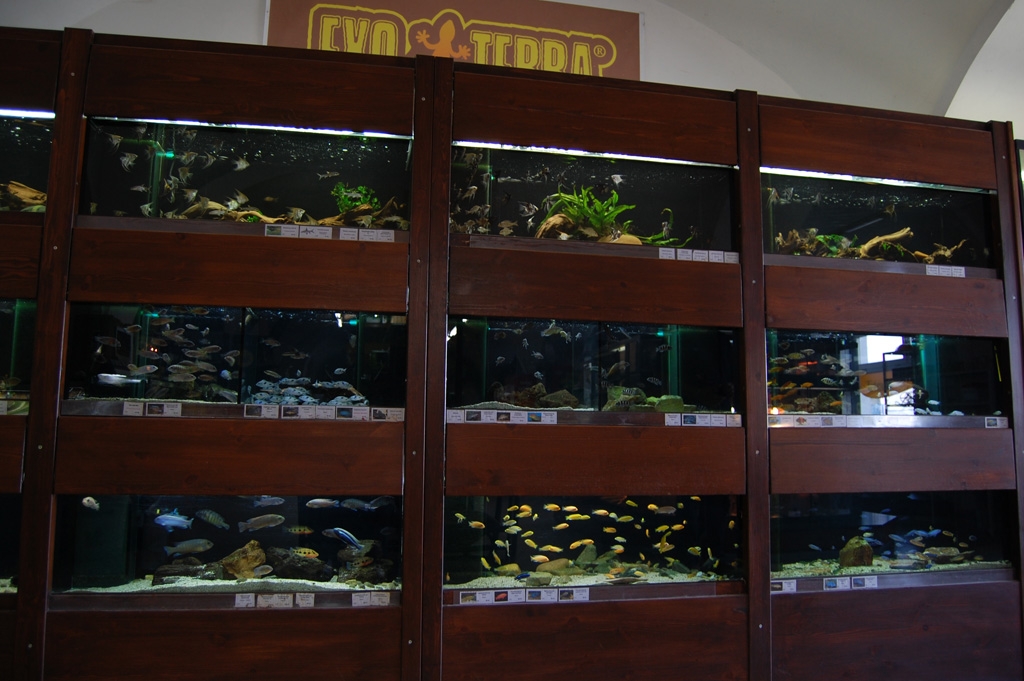 Vivarium - Mělník 2011