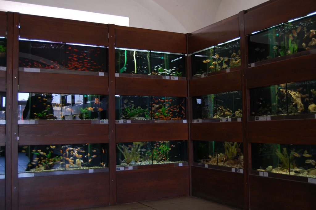 Vivarium - Mělník 2011