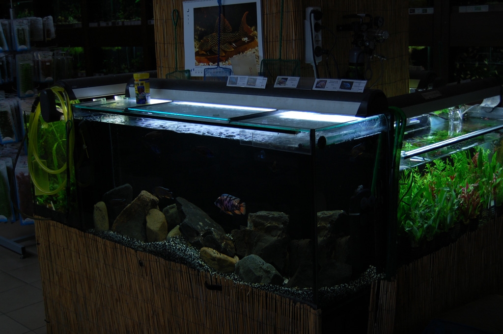 Vivarium - Mělník 2011