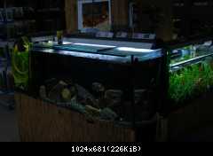 Vivarium - Mělník 2011