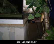 Príprava 1350tky Frontosa tank ( archív)