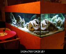 1350 litrov Frontosa Tank