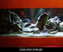 1350 litrov Frontosa Tank